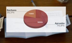 Sólo un 41% del padrón electoral de Magallanes votó para el domingo