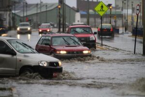 Los cuidados con el cambio climático en Magallanes