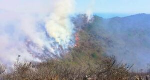 Onemi declara Alerta Roja para la comuna de Zapallar por incendio forestal