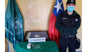 Frustran ingreso de marihuana y pastillas en cárcel de Natales