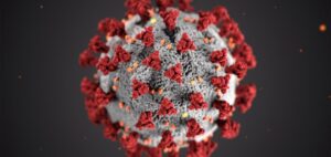 OPS se abre a estudiar el virus SARS-Cov 2 que circula  en Magallanes: Minsal pondrá a disposición información