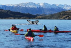 Alcaldes de Punta Arenas, Natales y Torres del Paine  envían carta al Presidente pidiendo fin de la cuarentena