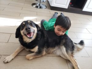 Un amigo para toda la vida: adopción de mascotas ha aumentado 50% en pandemia