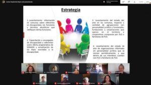 Senadis presentó estrategia para fomentar participación social  en la Macrozona Sur