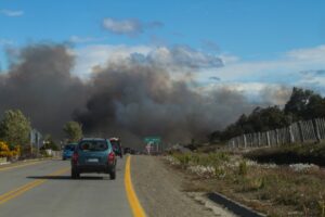 Emiten alerta por alta probabilidad de incendios forestales debido a altas temperaturas