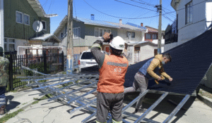 Caída de árboles y colapsos de estructuras marcó jornada con fuertes rachas de viento