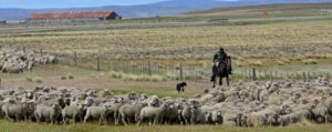 Tras la pandemia se deben potenciar nuevos destinos en Magallanes