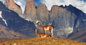 Las bellezas magallánicas enfrentadas a la más dura temporada