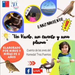 Proyecto literario presentará cuentos hechos por niños de nivel Medio Menor