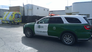 Llamado de vecinos impidió que hombre falleciera desangrado tras brutal agresión