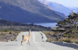 La conectividad en el sur de Tierra del Fuego