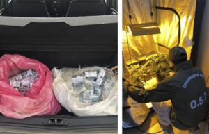 Más de 3.400 cajetillas de cigarrillos y tres plantas de marihuana fueron incautadas ayer entre Punta Arenas y Natales