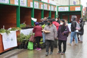 Municipio dio comienzo a paseo peatonal de calle Bories para adquirir productos de primera necesidad