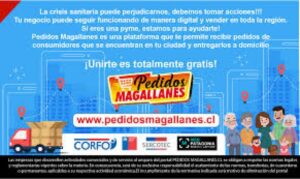 Plataforma PedidosMagallanes.cl espera poder unir a las pymes de Natales