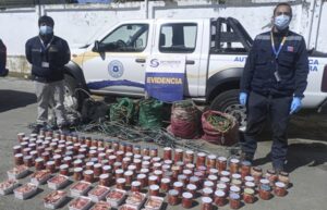 En múltiples operativos se incautó centolla ilegal avaluada en 2 millones de pesos