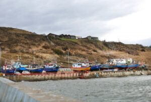 Llaman a consumir productos del mar en apoyo a pescadores