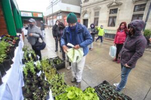 Vuelve paseo peatonal Bories  entre Avenida Colón y José Menéndez
