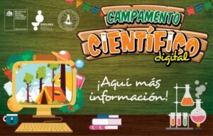 Abren inscripciones para campamento científico digital en Magallanes