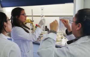 Escolares magallánicas y triunfadoras del Congreso de Ciencias lanzan plataforma científica juvenil