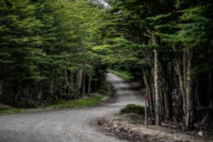 Reserva Nacional de Magallanes y Laguna Parrillar abrirán el próximo martes