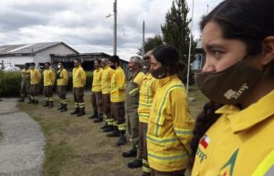 Cinco hectáreas se vieron afectadas por incendios forestales en Magallanes el 2020