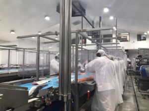 Empresas del Consejo del Salmón realizan amplio despliegue por resguardos ante Covid