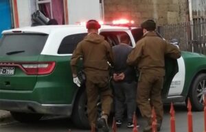 Detienen a sujeto con más de 100 plantas de cannabis