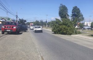 Rachas de viento de hasta 103 km/h generaron diversos estragos en Punta Arenas
