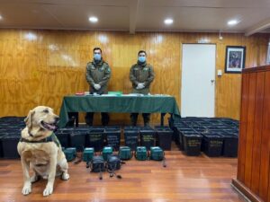 Formalizado por tráfico de marihuana y cocaína es enviado a la cárcel