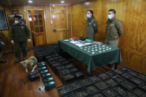 Can de Carabineros fue clave para procedimiento de droga