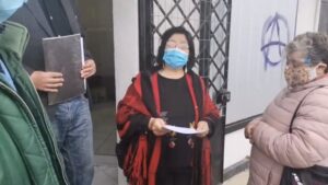 Pueblo Mapuche Huilliche acusa que lo dejaron fuera del proceso constituyente