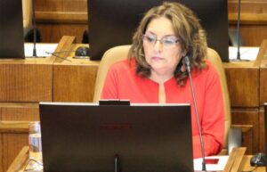 Diputada se reunió con ministro de Economía
