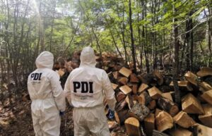 Hombre murió víctima de la caída de un árbol