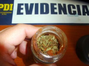 Condenan a sujeto por  microtráfico de cannabis sativa
