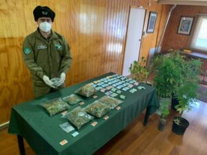 Presunto traficante de marihuana queda con prohibición de abandonar la región
