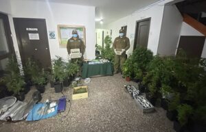 Familia detenida con millonaria cantidad de marihuana