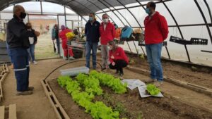 Ministerio del Medio Ambiente resalta compromiso de iniciativas regionales que ayudan a mitigar el cambio climático