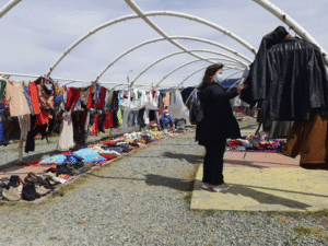 Feriantes del sector sur de Punta Arenas exigen baños químicos