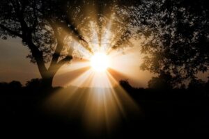 Atención magallánicos: la energía solar puede rebajar la cuenta de la luz drásticamente