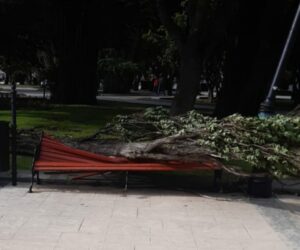 Rachas de viento que superaron los 100 kilómetros por hora produjeron varias emergencias en Punta Arenas