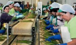Crisis generó retroceso en participación laboral femenina