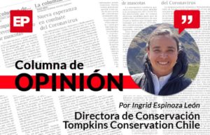 Parque Nacional Kawésqar: desafíos a dos años de su creación