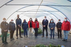 Horticultura sustentable de INIA es destacada por autoridades
