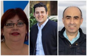 Fuerte molestia en Democracia Cristiana regional por dichos de Flies sobre senadora Goic