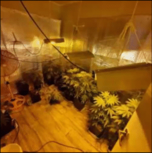 Trío detenido por tráfico de drogas es enviado a la cárcel