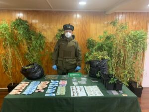 En amplio operativo policial Carabineros detuvo a pareja por tráfico de drogas