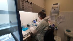 Laboratorios PCR regional procesan muestras en 24 horas