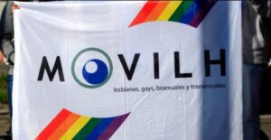 Informe anual de Movilh: Magallanes mantuvo niveles de homofobia y transfobia
