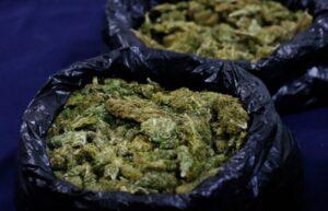 Condenan a mujer que ingresó marihuana a la cárcel de Punta Arenas
