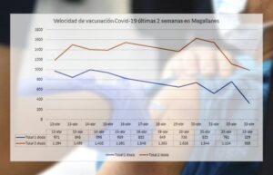 Brusca caída en velocidad de vacunación contra Covid-19 ha presentado Magallanes
